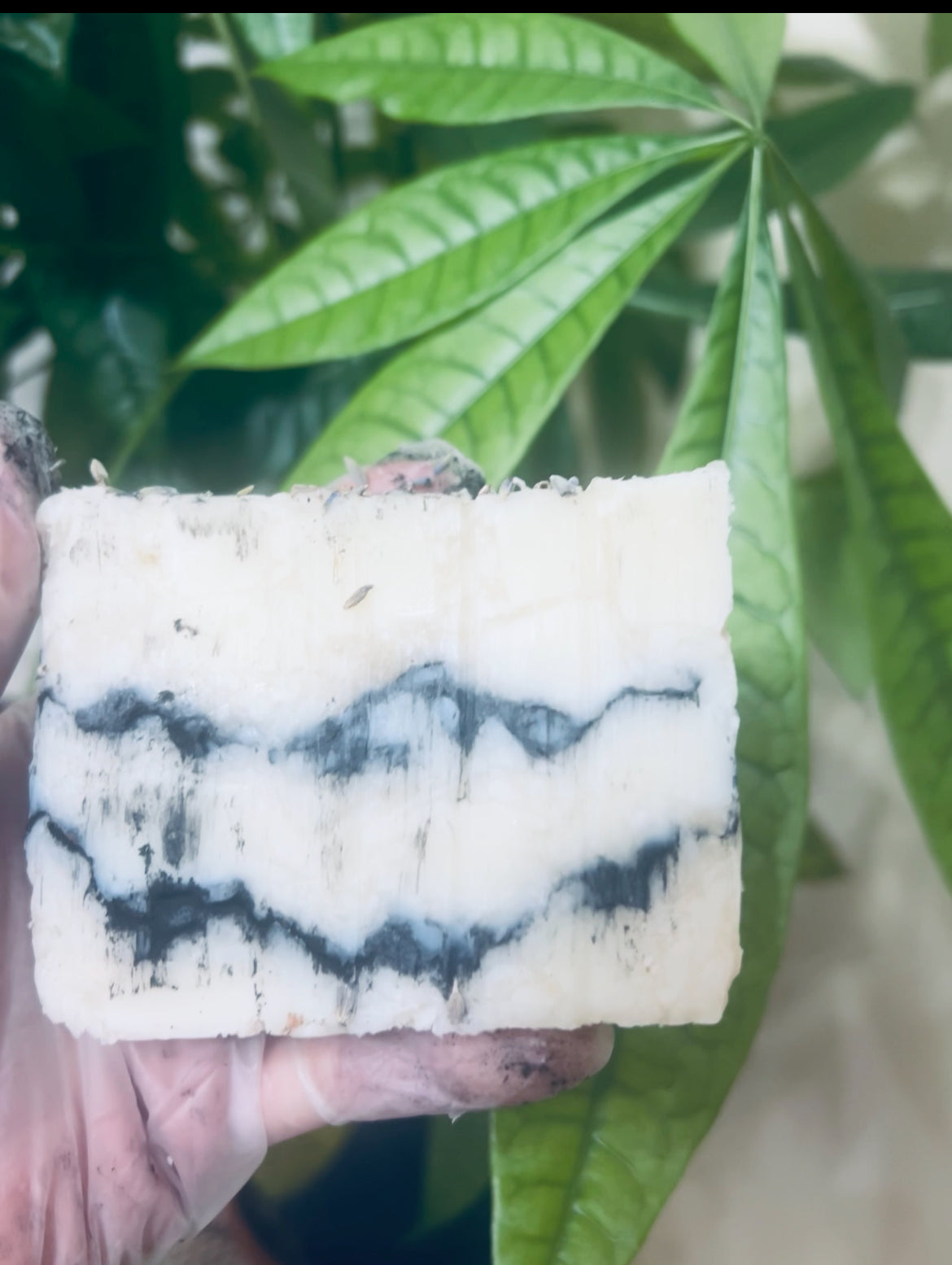 Lavender Charcoal soap